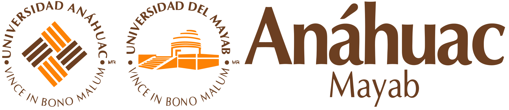 Logo 1